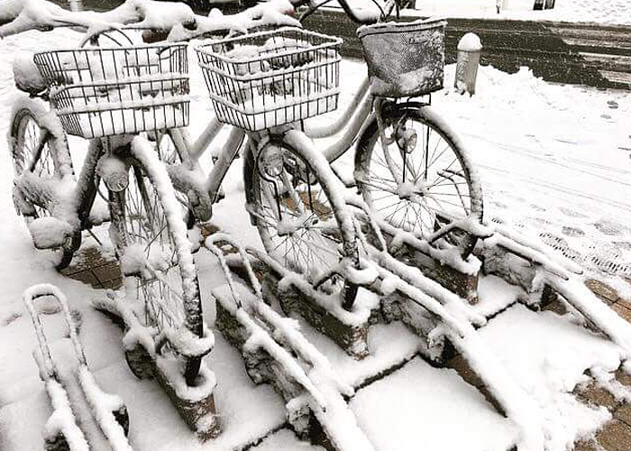 雪が積もっている自転車置き場